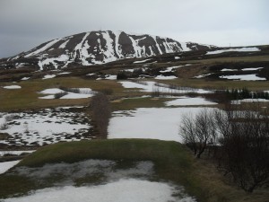 SDC11439